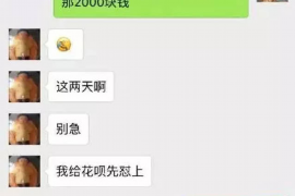 定州企业清欠服务